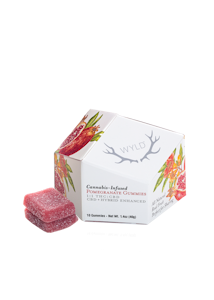 Wyld - 1:1 CBD POMEGRANATE 10-PACK GUMMIES
