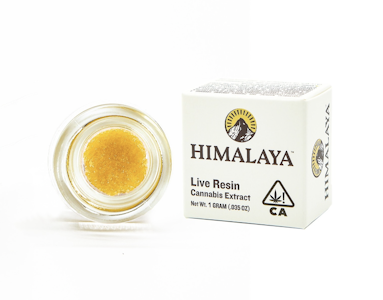 Himalaya - LEMON CHERRY GELATO 1G SUGAR
