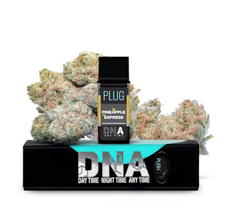 Plugplay - PINEAPPLE EXPRESS "DNA" 1G POD