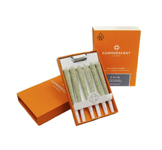 Canndescent - CALM PREROLL 6-PACK