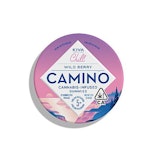 CAMINO WILD BERRY CHILL 20 PACK GUMMIES