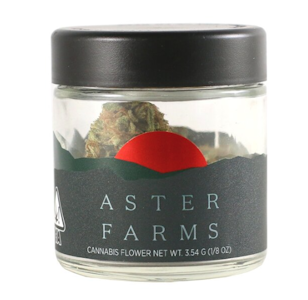Aster farms - MANGO HAZE - FLOWER 1/8TH