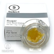 PAI GOW (SUGAR) 1G CONCENTRATE