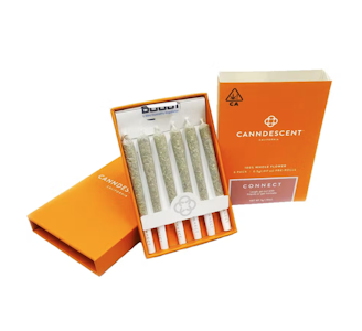 Canndescent - CONNECT 0.5G PREROLL 6-PACK