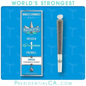 Presidential - TROPICAL PREROLL (MOON ROCK-INFUSED)